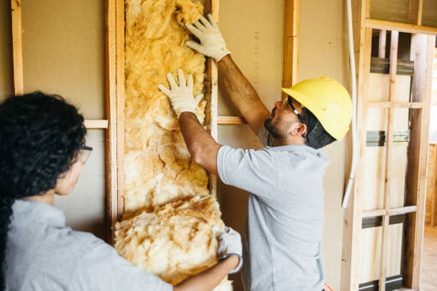 Best Blown-In Insulation  in Washburn, WI